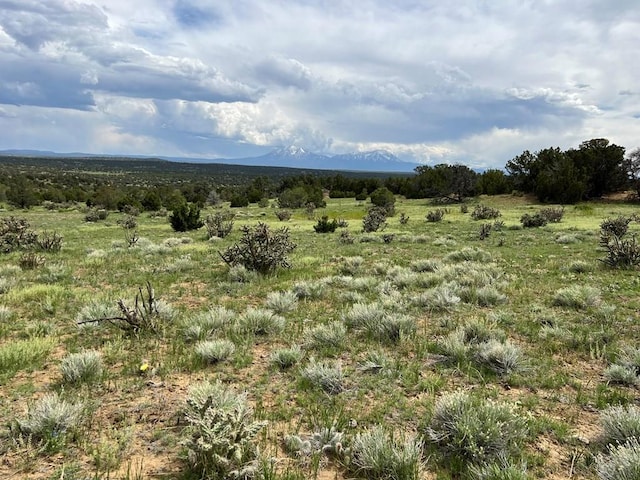 TBD County Rd 521.3, Walsenburg, CO 81089