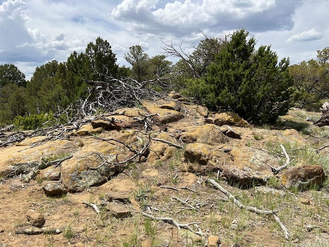 TBD County Rd 521.3, Walsenburg, CO 81089