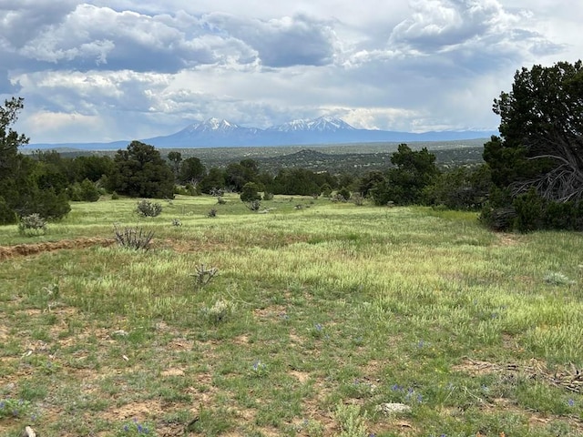 TBD County Rd 521.3, Walsenburg, CO 81089