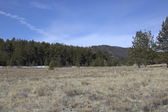 2450 Antelope Ln, Guffey, CO 80820 - photo 4