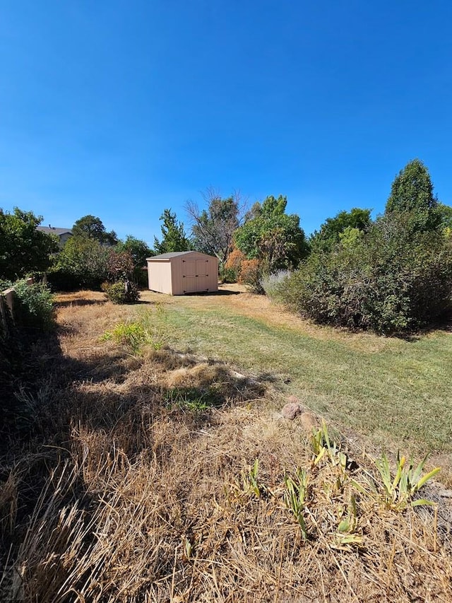 view of yard with an outbuilding and a storage shed