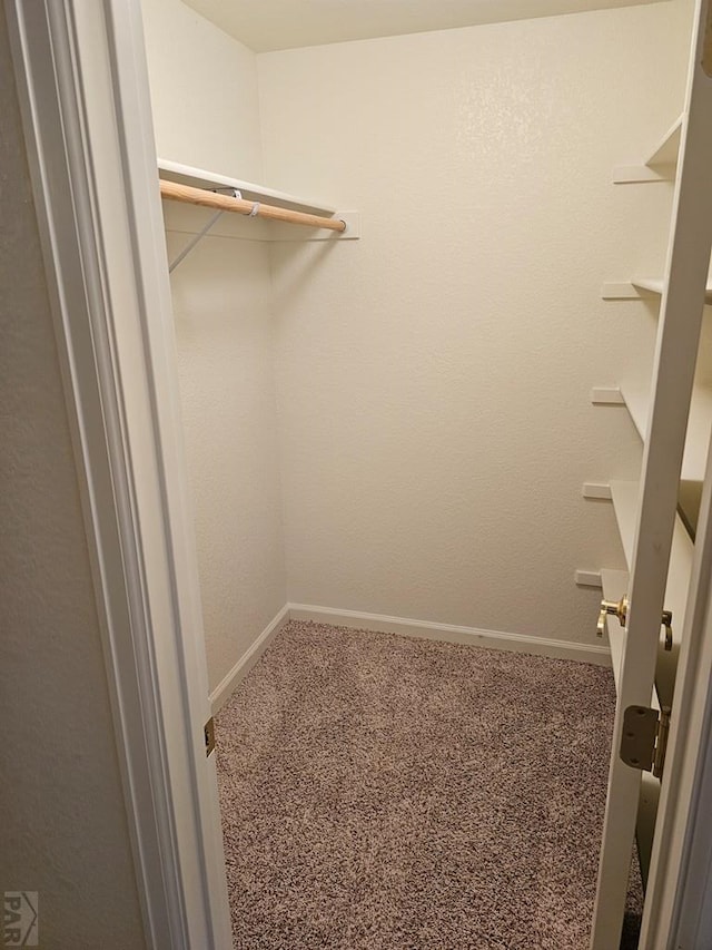 walk in closet featuring carpet floors