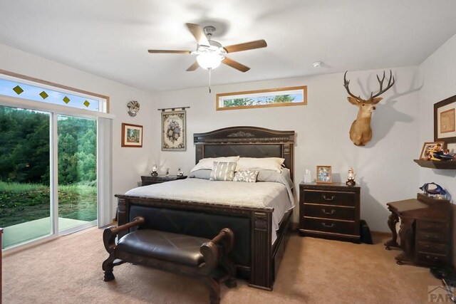 33220 Gallinas Pkwy, Trinidad, CO 81082 - photo 15
