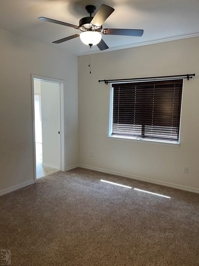 spare room with ceiling fan, carpet, and baseboards