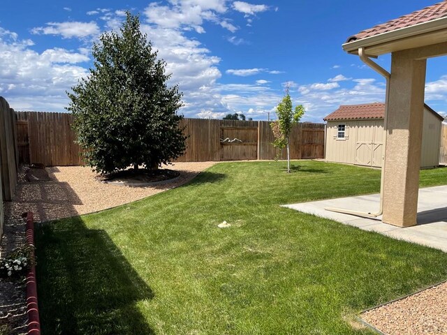 view of yard with an outbuilding, a fenced backyard, a patio, and a storage shed