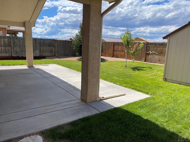 view of yard featuring a patio area and a fenced backyard