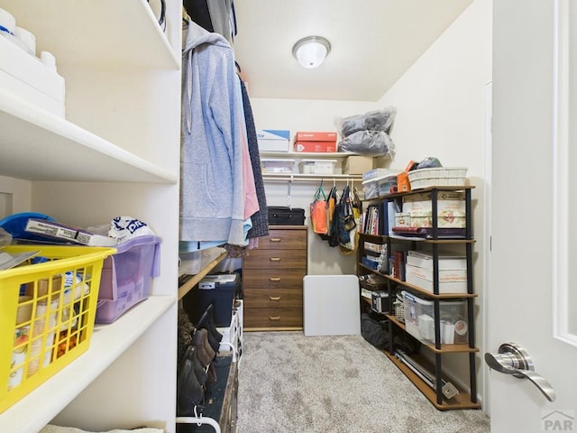 4739 San Pietro Ct, Pueblo, CO 81008 - photo 22