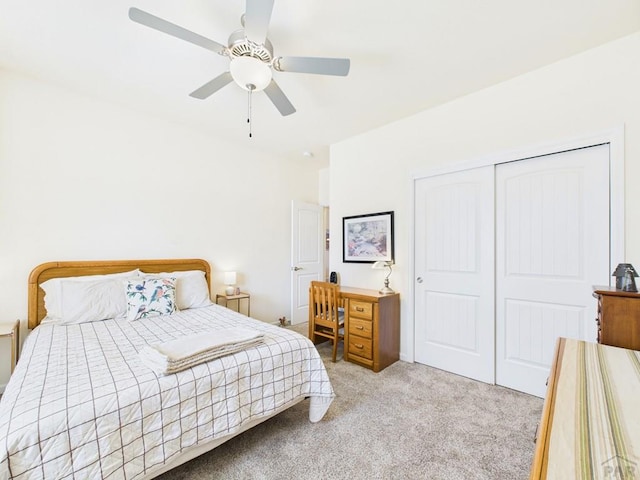 4739 San Pietro Ct, Pueblo, CO 81008 - photo 29