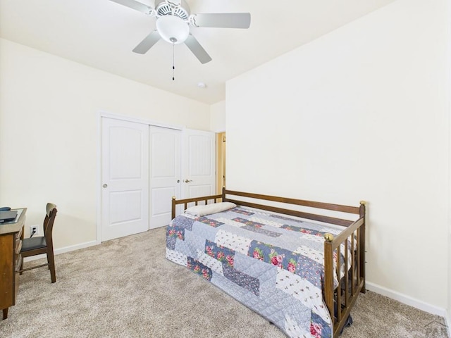 4739 San Pietro Ct, Pueblo, CO 81008 - photo 24
