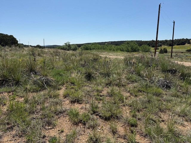 TBD Chickasaw Dr, Walsenburg, CO 81089 - photo 16