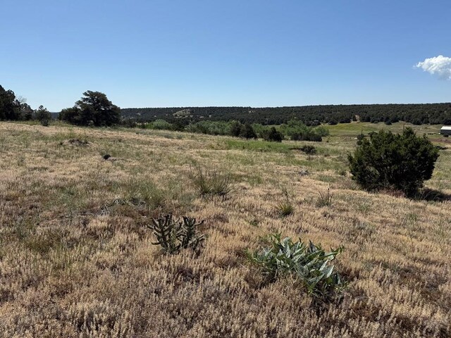 TBD Chickasaw Dr, Walsenburg, CO 81089 - photo 5