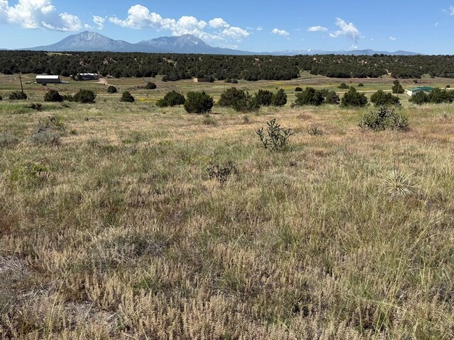 TBD Chickasaw Dr, Walsenburg, CO 81089 - photo 7