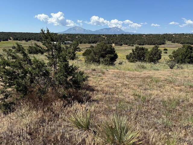 TBD Chickasaw Dr, Walsenburg, CO 81089 - photo 19