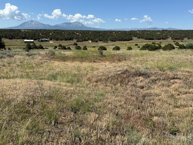 TBD Chickasaw Dr, Walsenburg, CO 81089 - photo 8