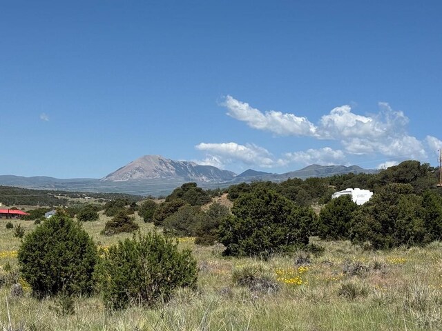 TBD Chickasaw Dr, Walsenburg, CO 81089 - photo 11
