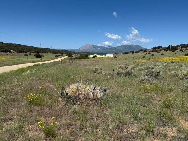 TBD Chickasaw Dr, Walsenburg, CO 81089 - photo 18