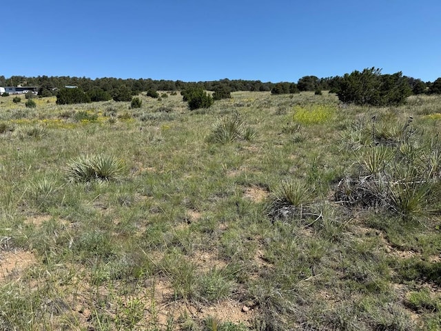 TBD Chickasaw Dr, Walsenburg, CO 81089 - photo 17