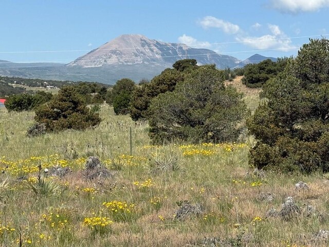 TBD Chickasaw Dr, Walsenburg, CO 81089 - photo 4