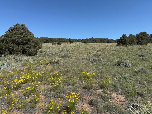 TBD Chickasaw Dr, Walsenburg, CO 81089 - photo 14