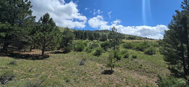 950 County Road 350, Westcliffe, CO 81252 - photo 19