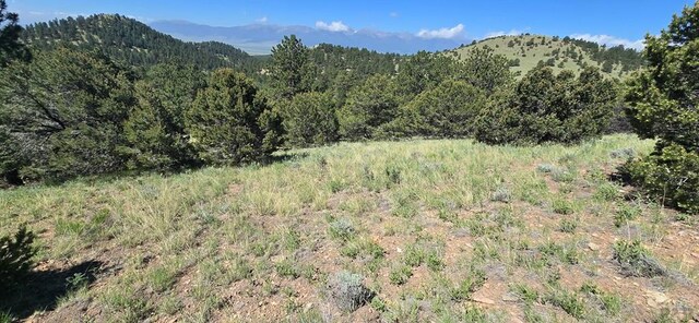 950 County Road 350, Westcliffe, CO 81252 - photo 8