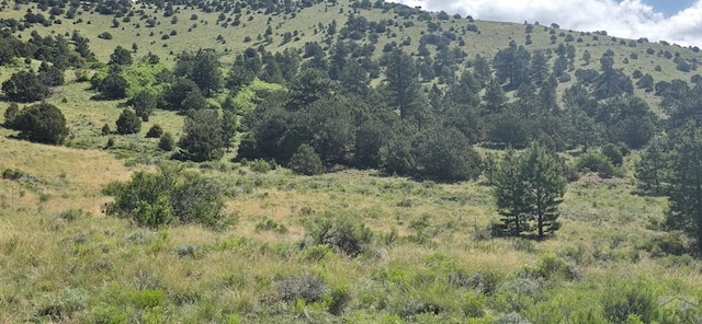950 County Road 350, Westcliffe, CO 81252 - photo 1