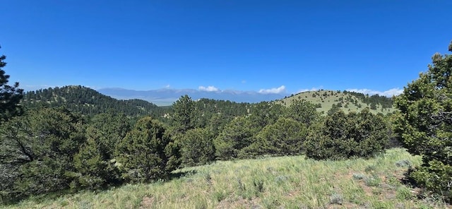 950 County Road 350, Westcliffe, CO 81252 - photo 12
