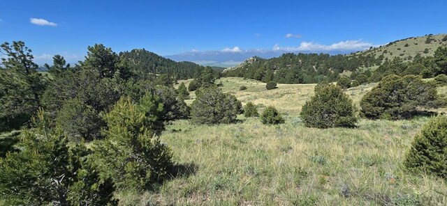 950 County Road 350, Westcliffe, CO 81252 - photo 3