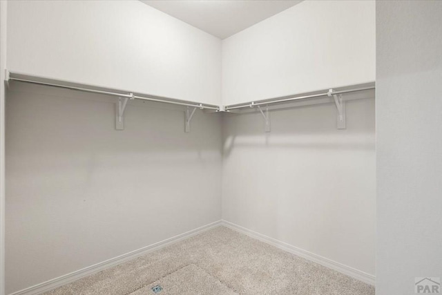 walk in closet with carpet