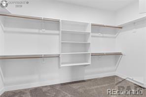 3010 Grandview Ave, Canon City, CO 81212 - view of walk in closet