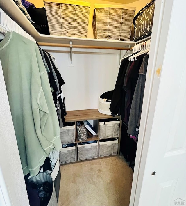 walk in closet featuring carpet floors