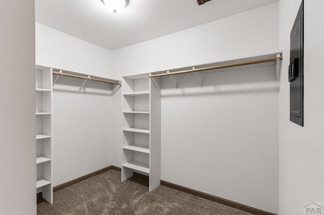 155 High Meadows Dr, Florence, CO 81226 - photo 40