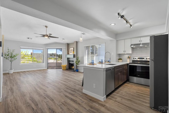 3666 Iguana Dr, Colorado Springs, CO 80910 - kitchen with appliances with stainless steel finishes, a sink, under cabinet range hood, a peninsula, and open floor plan