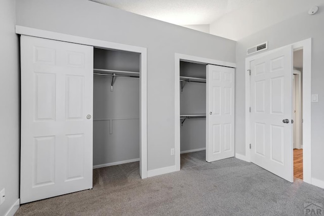 3666 Iguana Dr, Colorado Springs, CO 80910 - unfurnished bedroom featuring carpet floors, multiple closets, baseboards, and lofted ceiling
