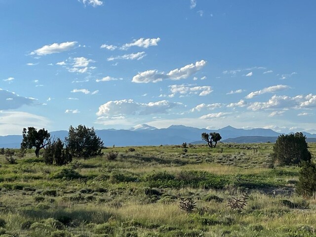TBD Cedarwood Ct, Pueblo West, CO 81007 - photo 1