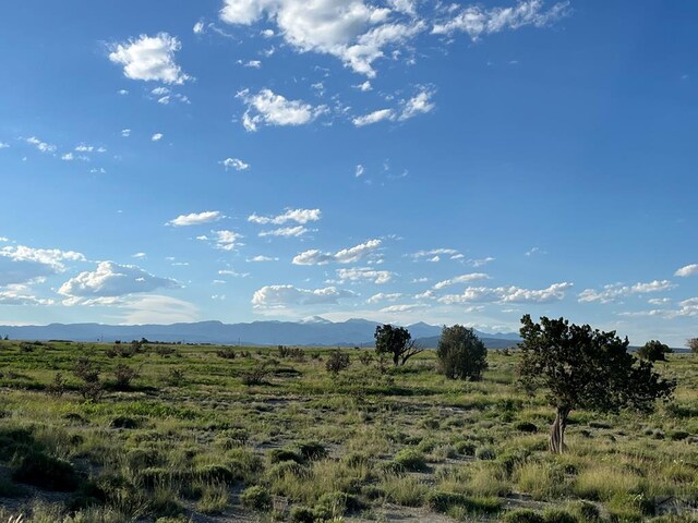 TBD Cedarwood Ct, Pueblo West, CO 81007 - photo 6