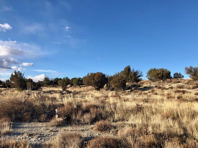 TBD Cedarwood Ct, Pueblo West, CO 81007 - photo 10