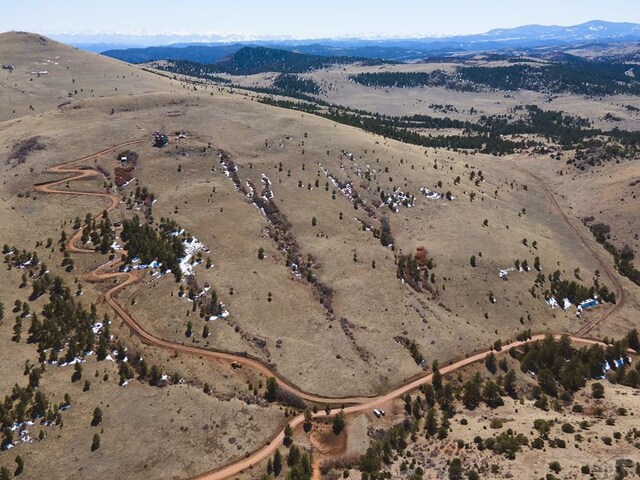 1160 Diamond Black Trl, Canon City, CO 81212 - birds eye view of property with a mountain view, a desert view, and a rural view