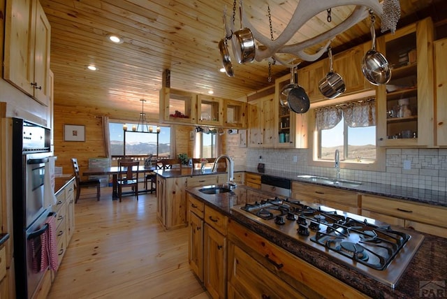 1160 Diamond Black Trl, Canon City, CO 81212 - kitchen with stainless steel appliances, glass insert cabinets, wood ceiling, and a sink