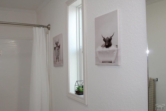 room details with ornamental molding and a shower with shower curtain