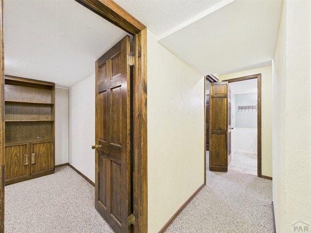 9 Woodsorrel Ct, Pueblo, CO 81001 - corridor with light colored carpet and baseboards