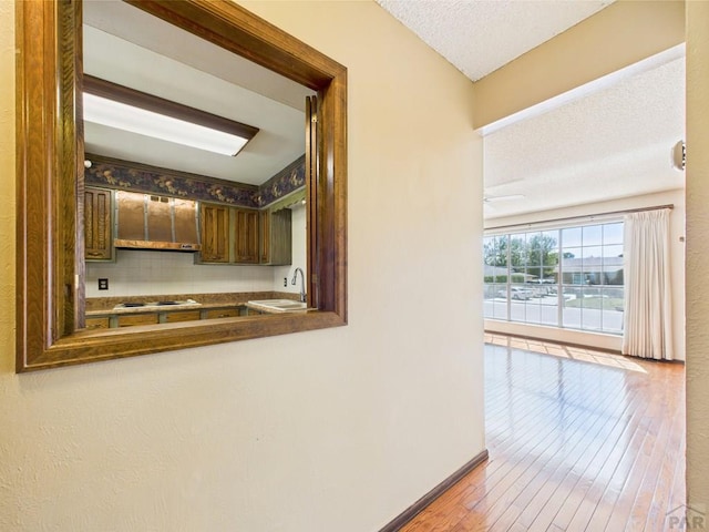 9 Woodsorrel Ct, Pueblo, CO 81001 - kitchen featuring stovetop, a sink, custom range hood, baseboards, and a textured ceiling