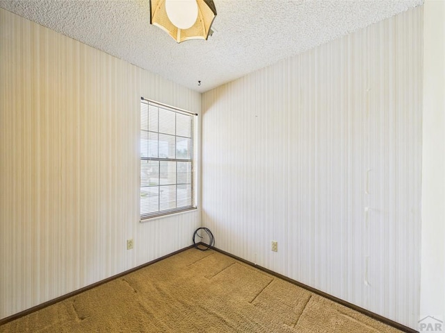 9 Woodsorrel Ct, Pueblo, CO 81001 - carpeted spare room featuring a textured ceiling