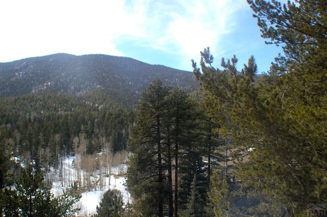 mountain view featuring a forest view