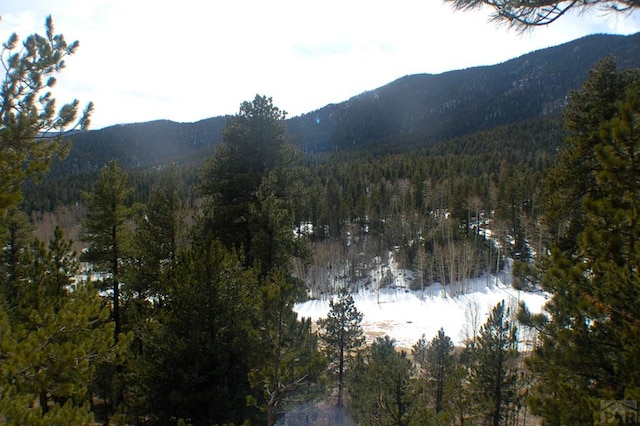 property view of mountains featuring a wooded view