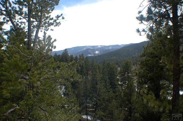 mountain view with a forest view