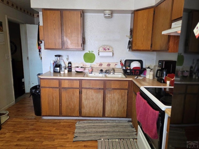 kitchen featuring electric range oven, light countertops, a sink, and under cabinet range hood