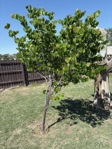 1509 S 13th St, Lamar, CO 81052 - photo 21