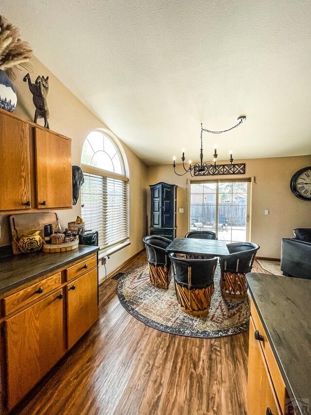 interior space featuring lofted ceiling, a textured ceiling, plenty of natural light, and dark wood-style floors