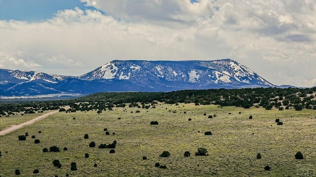 LOT16 County Rd 540, Gardner, CO 81040 - photo 4